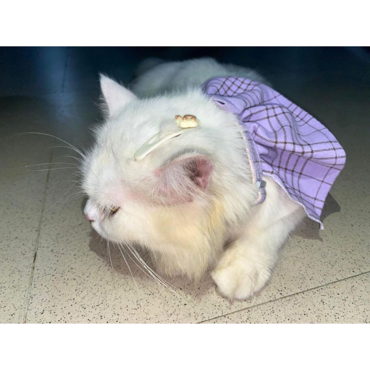 Stylish Adjustable Purple Plaid Cat Bow Tie Collar