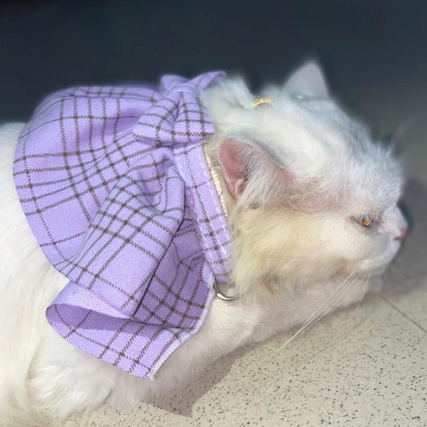 Stylish Adjustable Purple Plaid Cat Bow Tie Collar