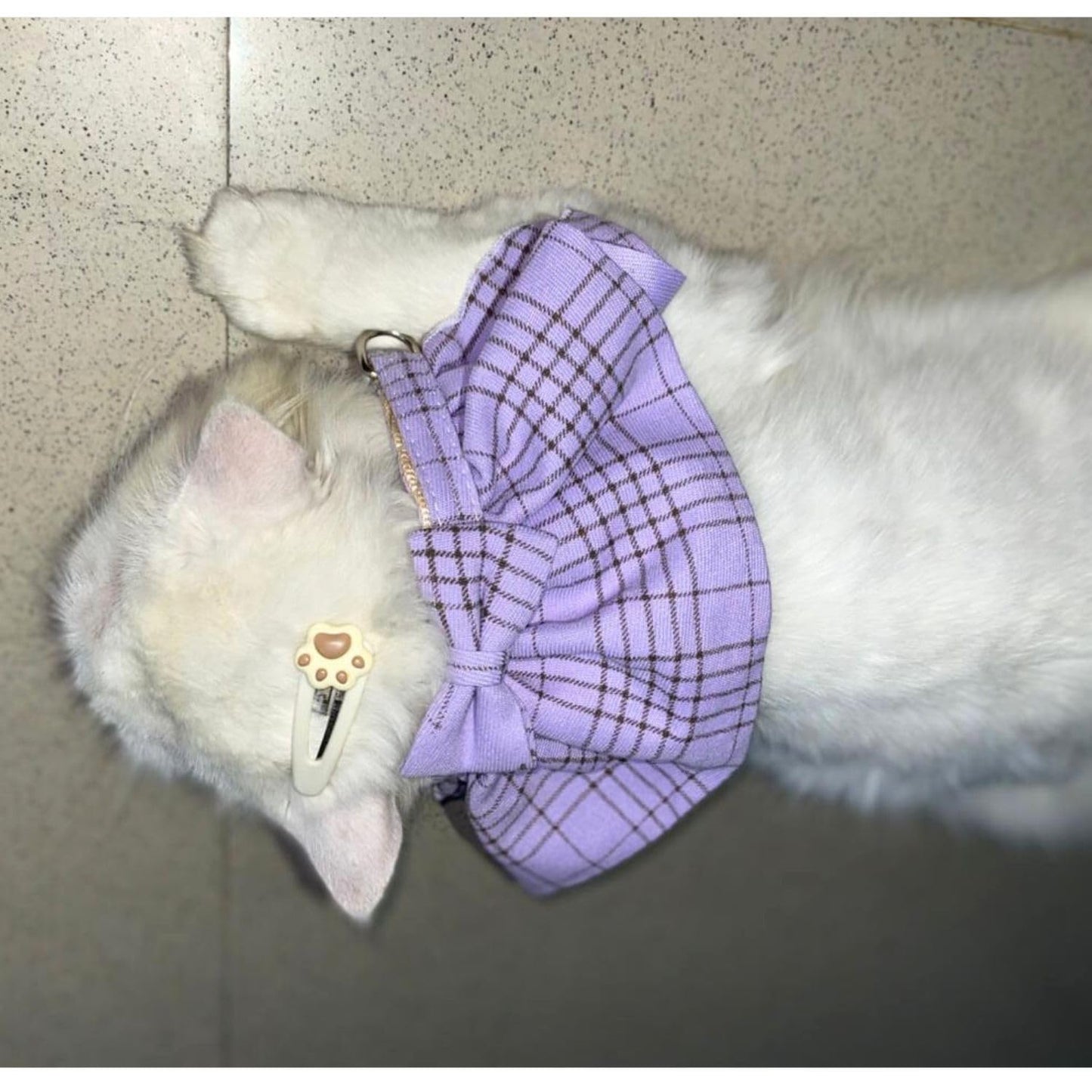 Stylish Adjustable Purple Plaid Cat Bow Tie Collar