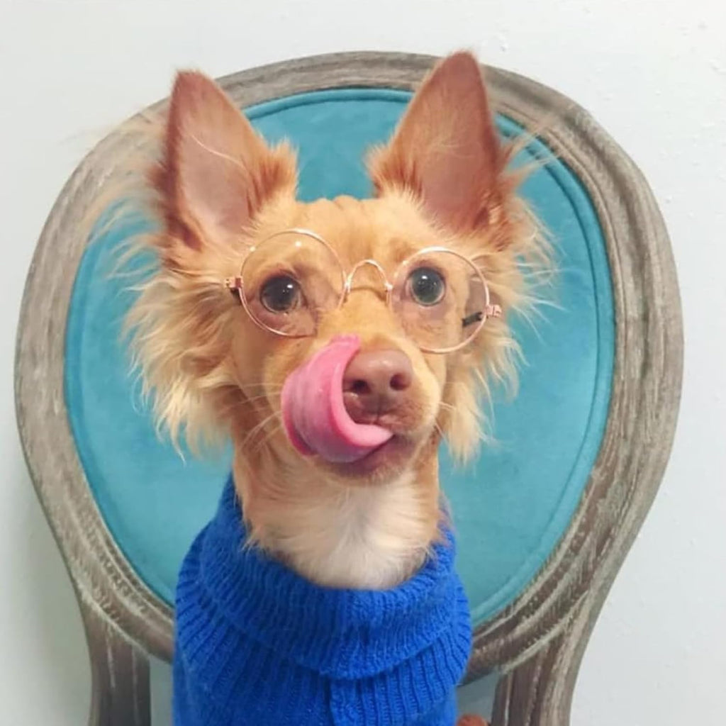 Sunglasses Glasses for Cats and Dogs