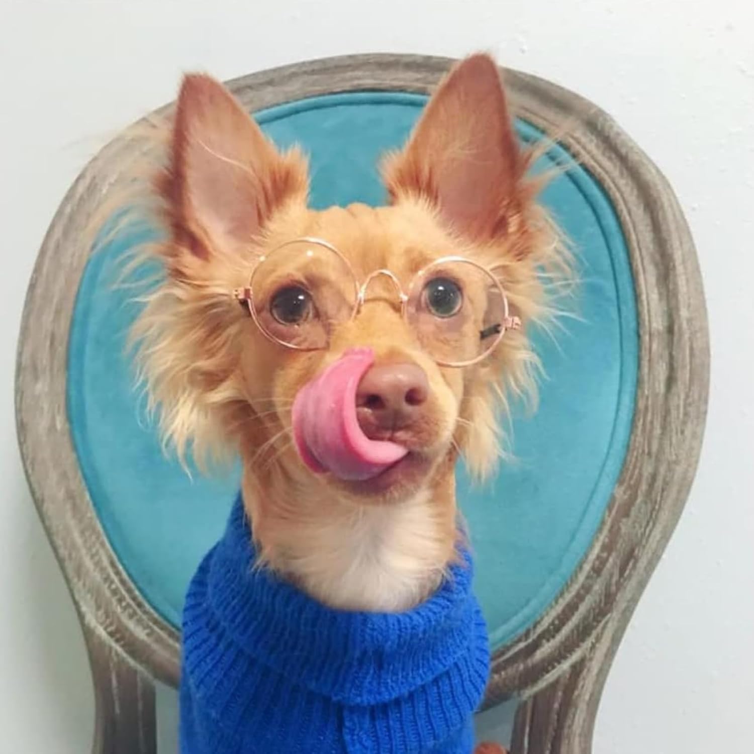 Sunglasses Glasses for Cats and Dogs