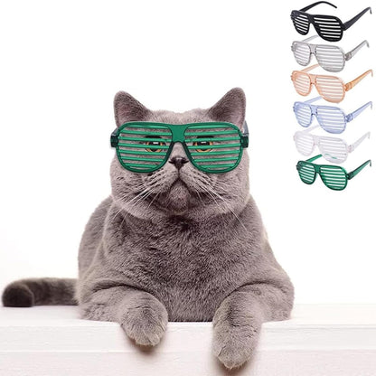 Stylish Pet Goggles for Eye Protection for Dogs & Cats