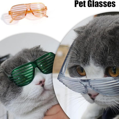 Stylish Pet Goggles for Eye Protection for Dogs & Cats