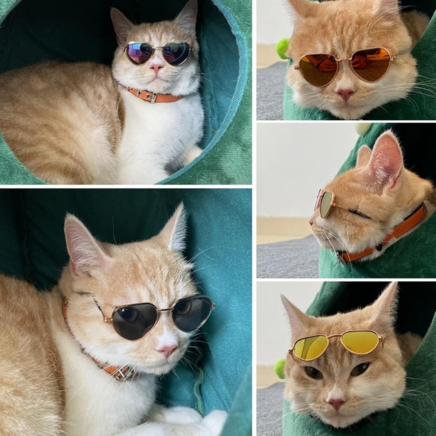Cute Sunglasses for Dogs & Cats