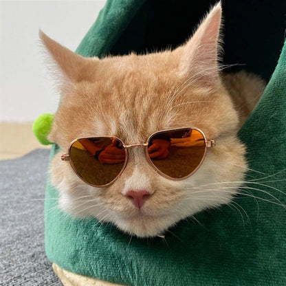 Pink Waterproof Pet Safety Goggles