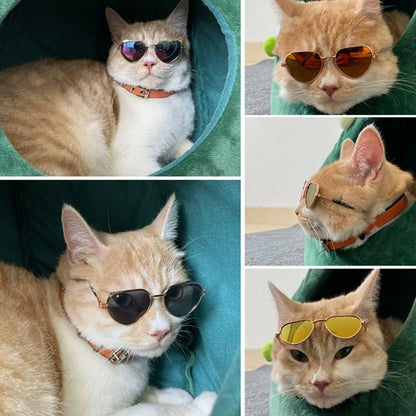 Pink Waterproof Pet Safety Goggles