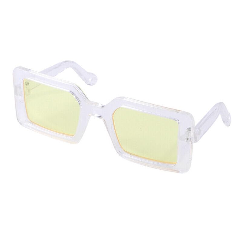 Stunning Goggles for Pets