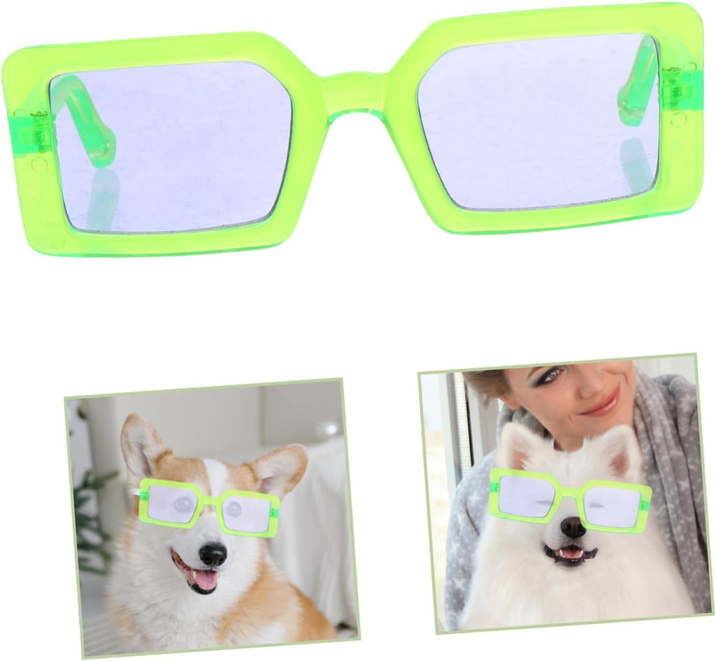 Stunning Goggles for Pets