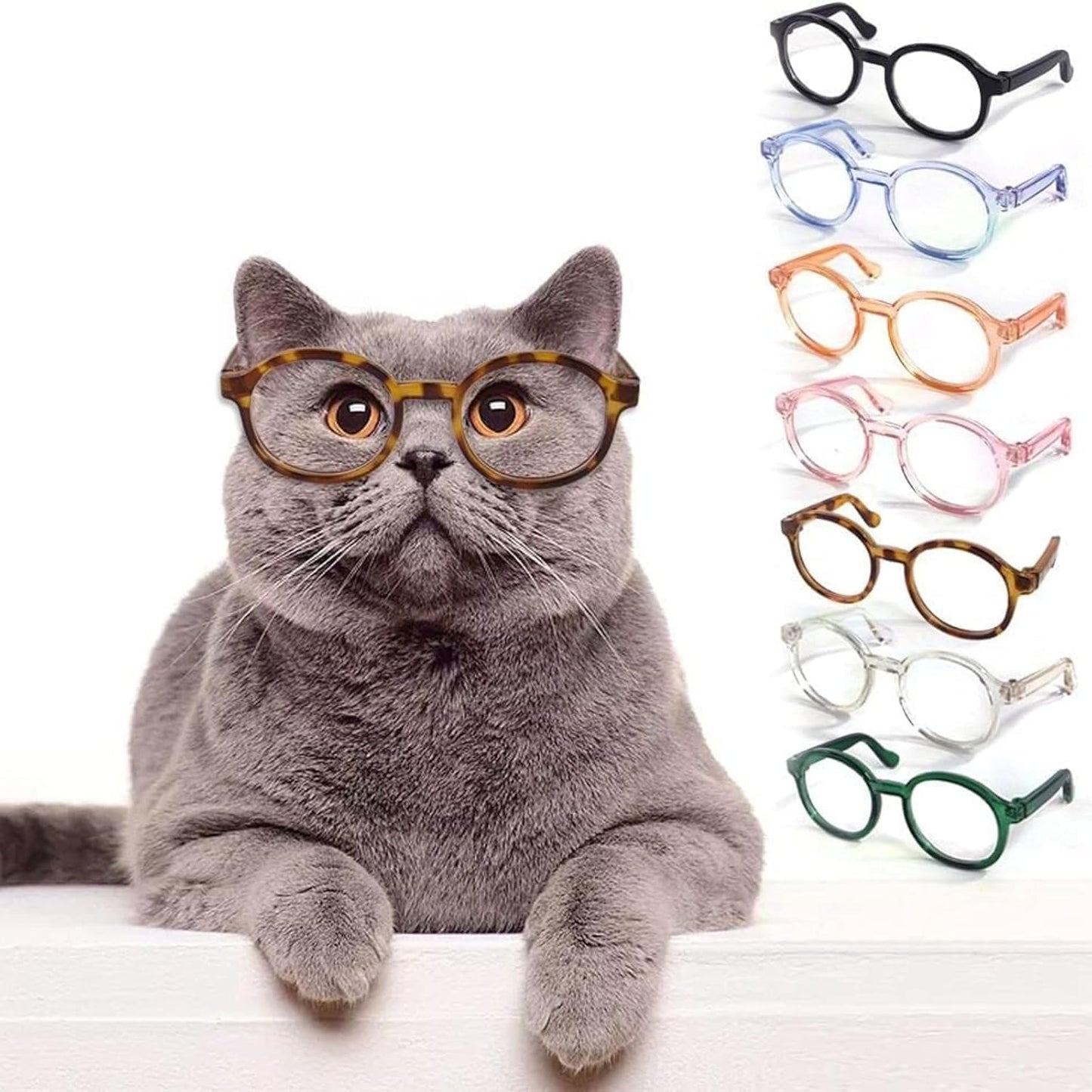 Black Funny Pet Party Sunglasses