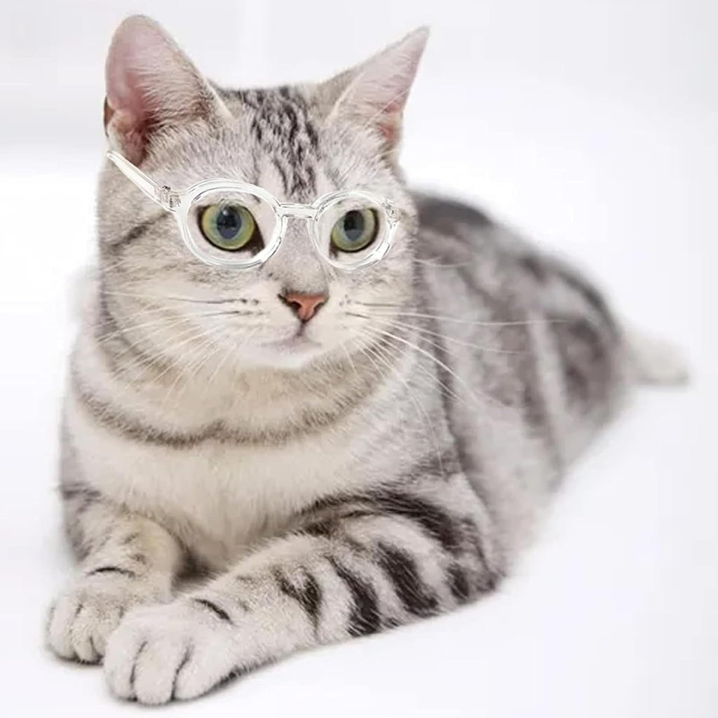 Goggles for Dogs and Cats