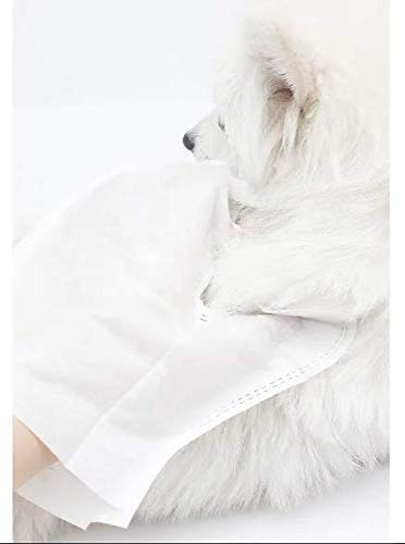 Glove Wipes for Dogs and Cats, Pack of 12 pcs