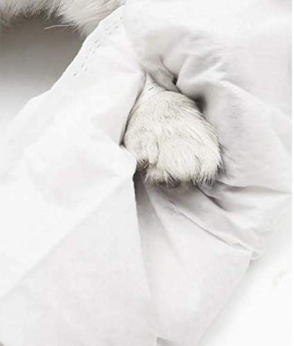 Glove Wipes for Dogs and Cats(12 PCS)