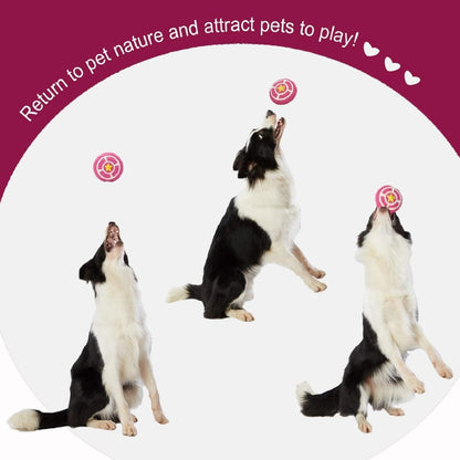 Pets Soft Latex Squeaky Toy for dogs