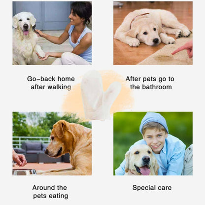 Slicker Brush & Glove Wipes Combo Pack(2)