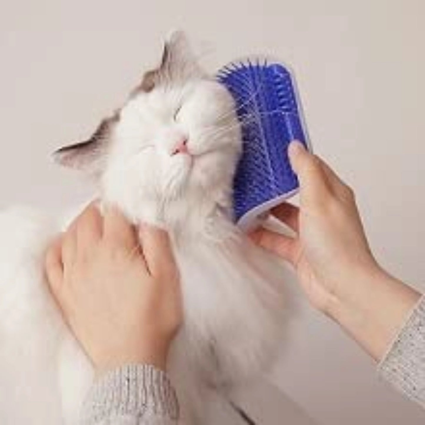 Self Grooming Cat Brush Holder