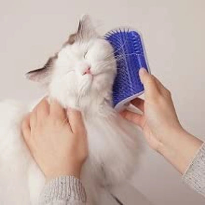 Self Grooming Cat Brush Holder