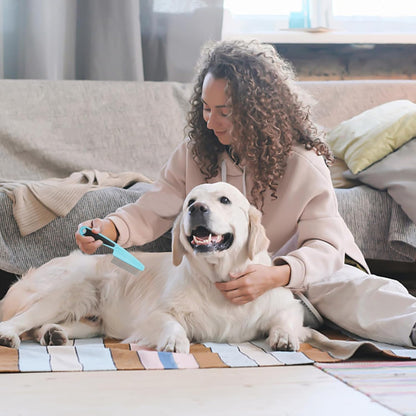 Stainless Steel Flea Comb for Cat & Dog