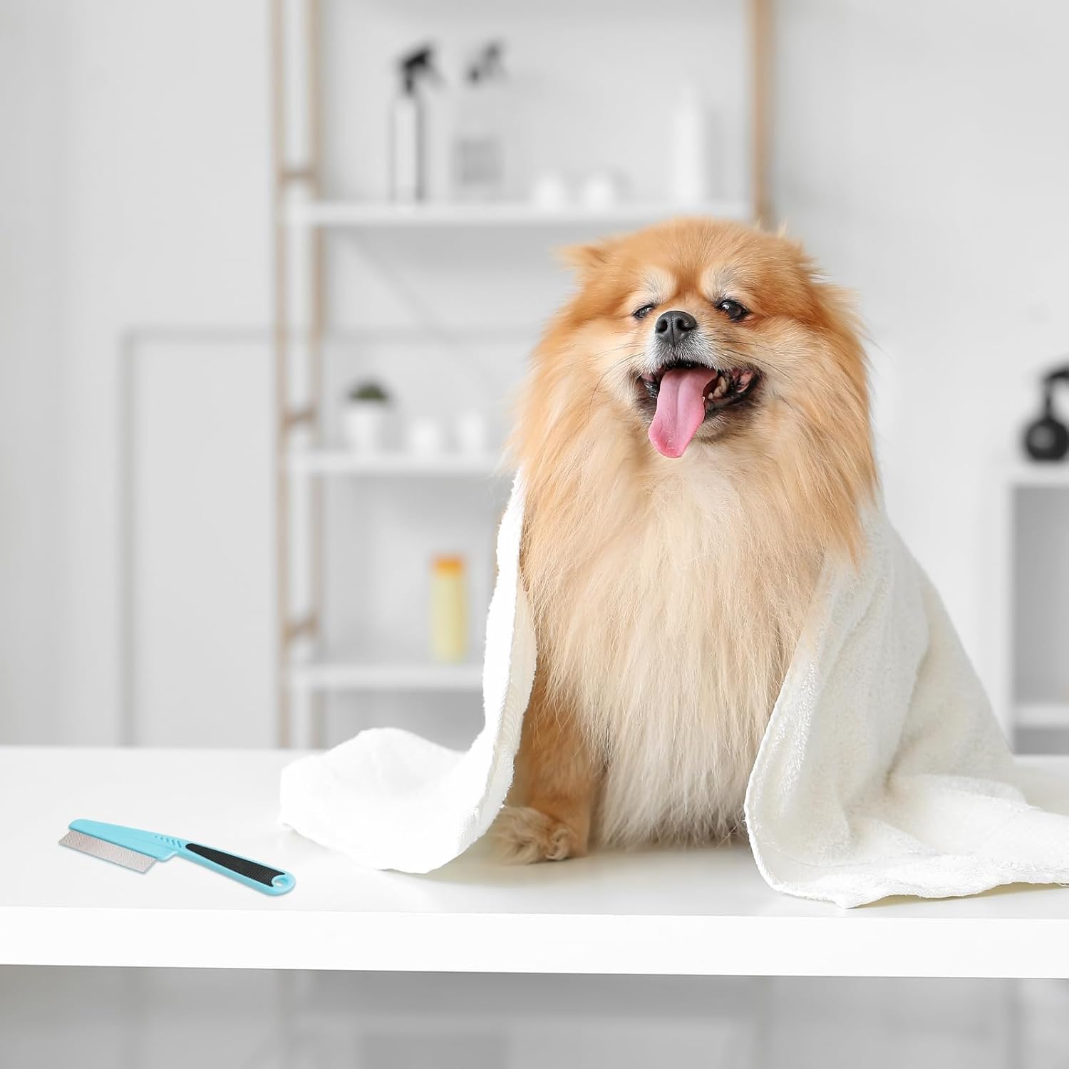 Stainless Steel Flea Comb for Cat & Dog