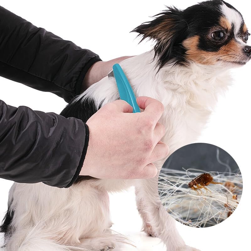 Stainless Steel Flea Comb