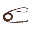 Premium 6ft Leather Dog Leash