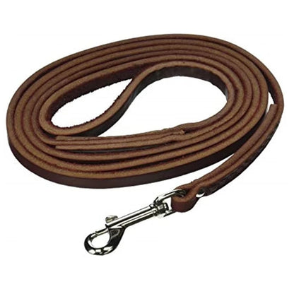 Premium 6ft Leather Dog Leash