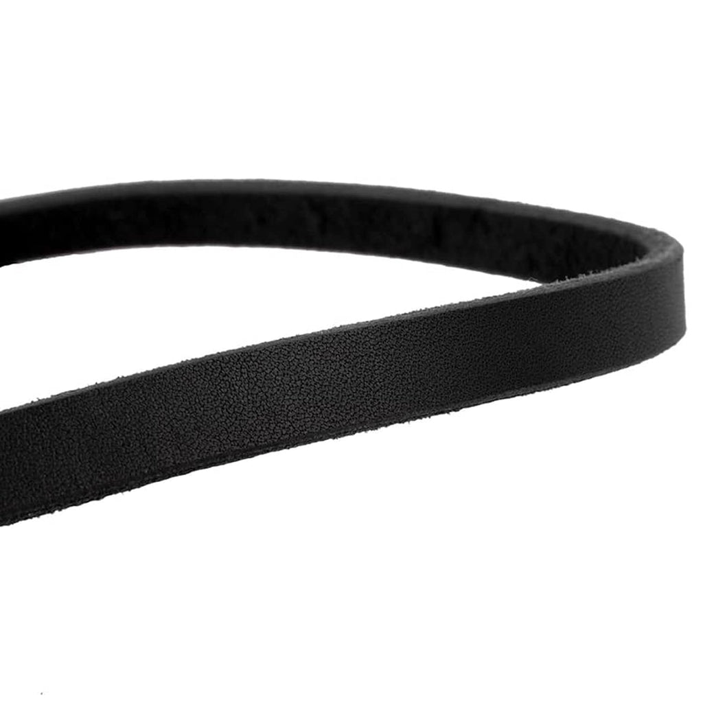 Premium 6ft Leather Dog Leash