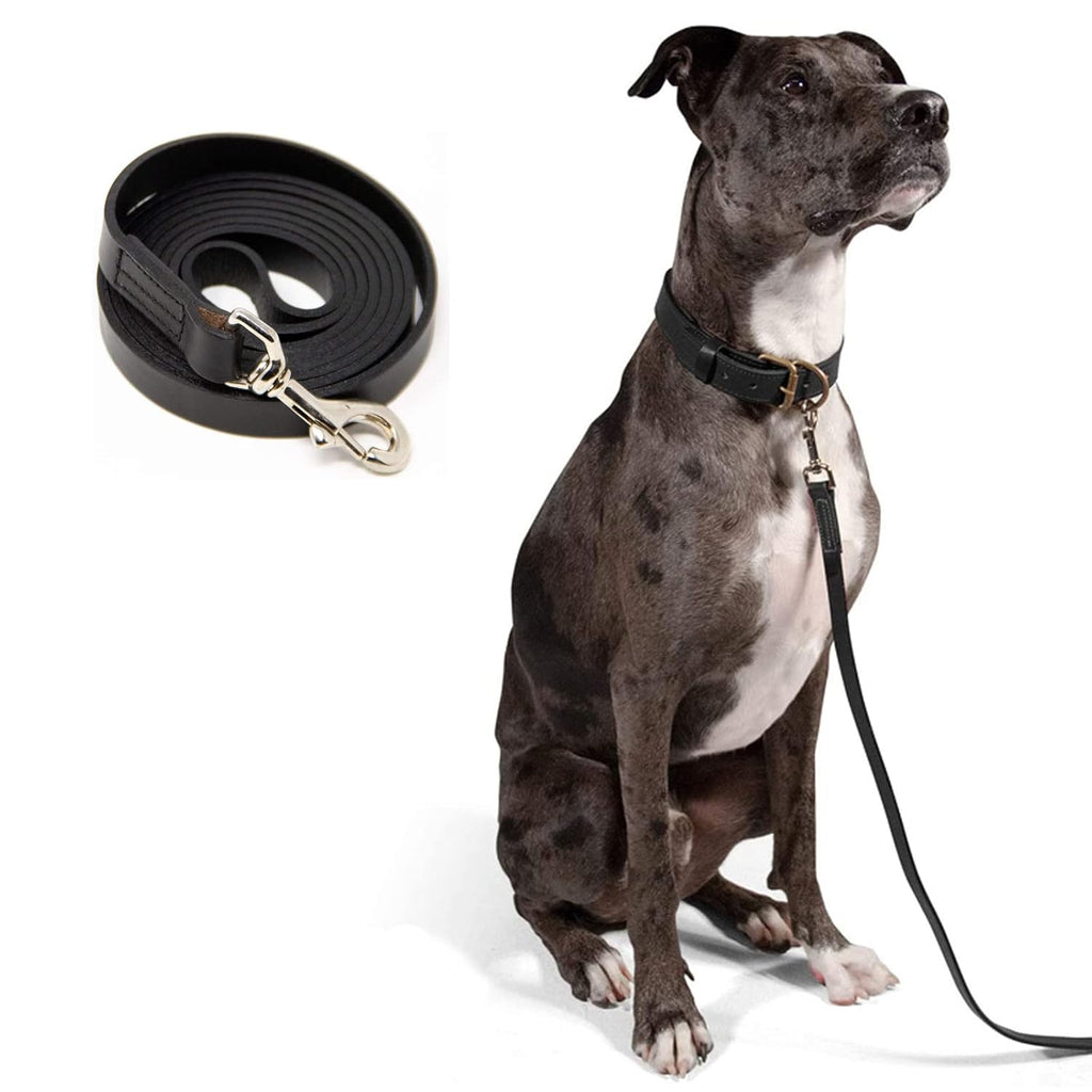 Premium 6ft Leather Dog Leash