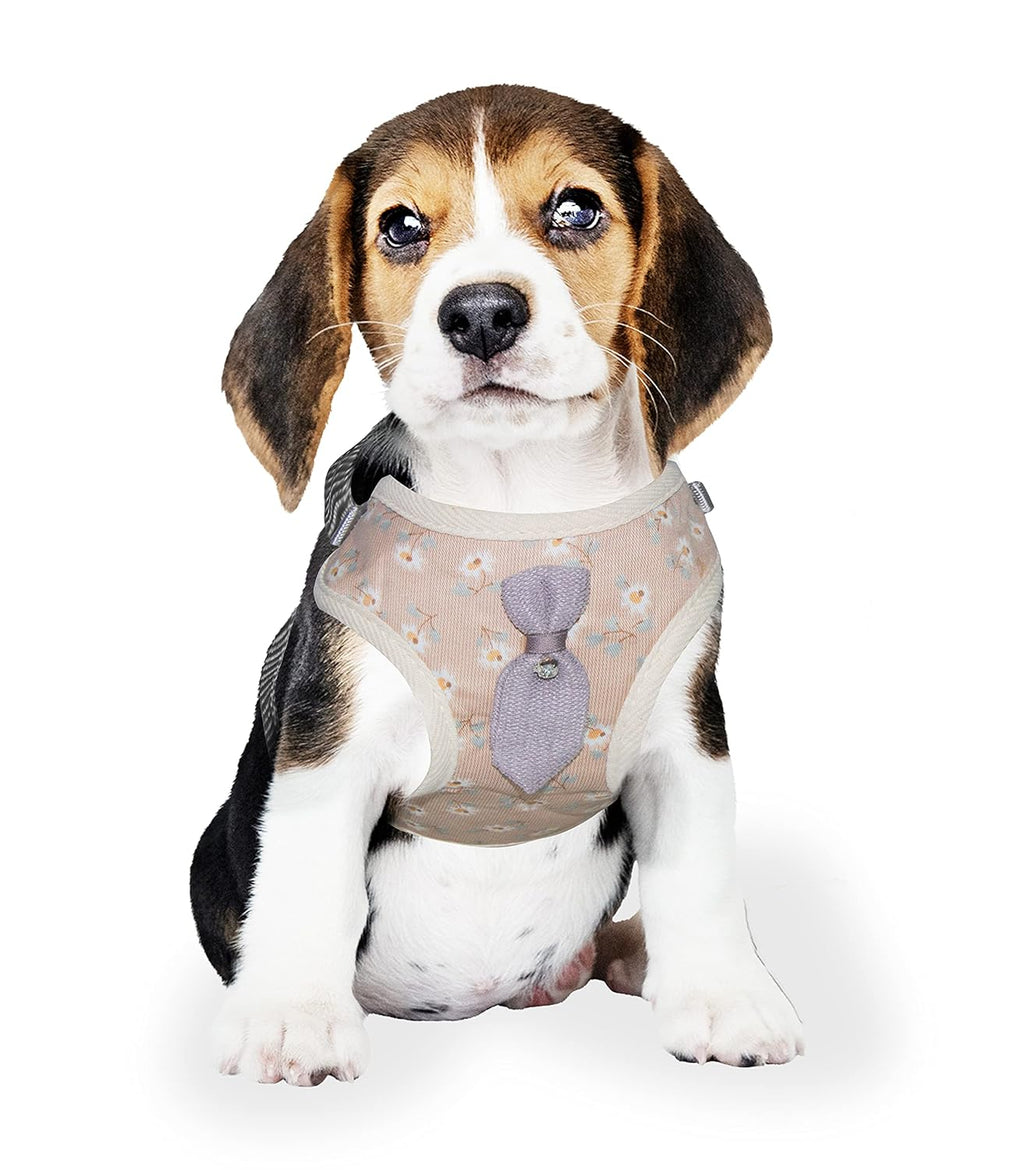 Soft Breathable Harness and Leash Set