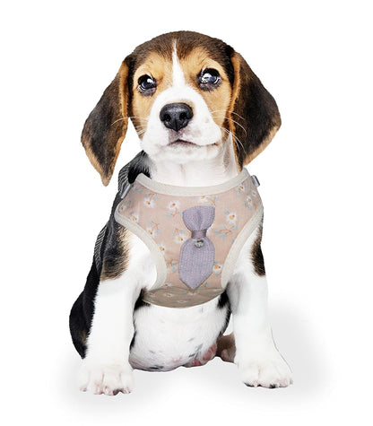 Soft Breathable Harness and Leash Set