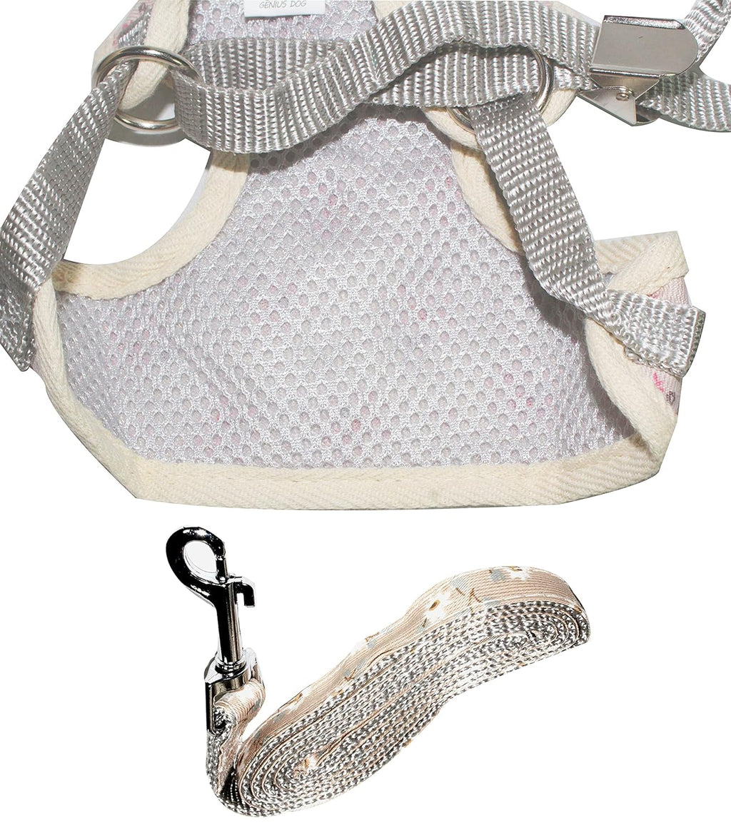 Soft Breathable Harness and Leash Set