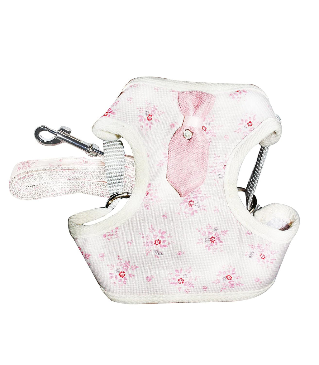 Soft Breathable Harness and Leash Set