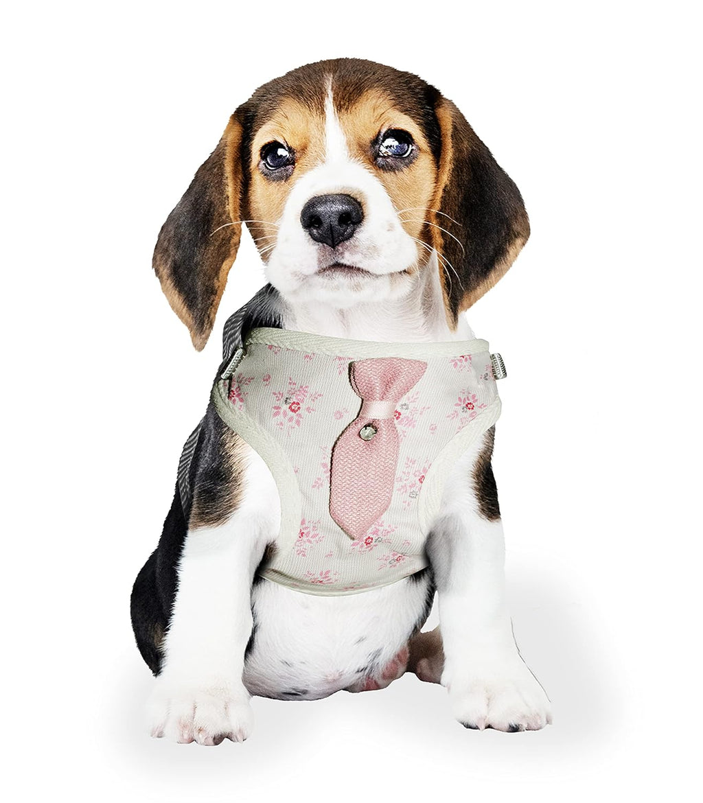 Soft Breathable Harness and Leash Set