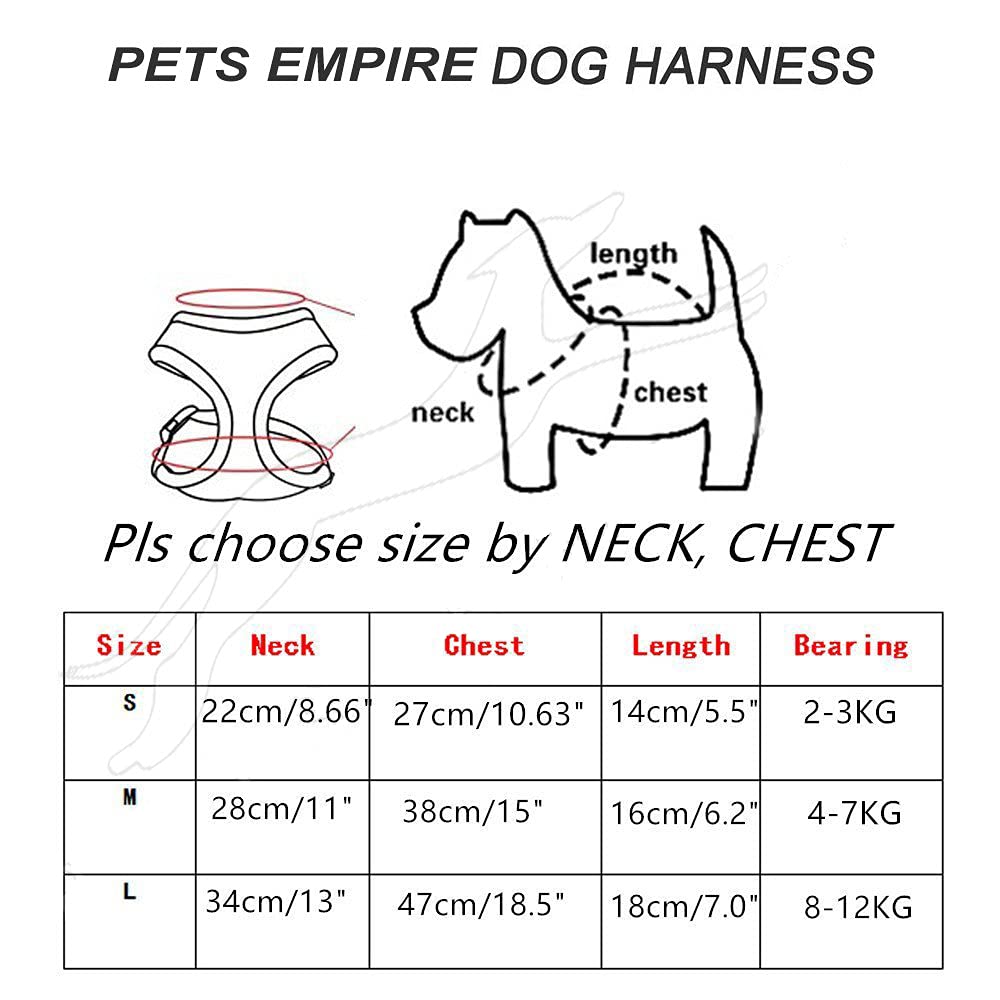 Soft Breathable Harness and Leash Set