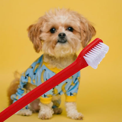 Double-Sided Extra Large Dog Toothbrush