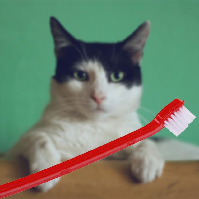 Double-Sided Extra Large Dog Toothbrush
