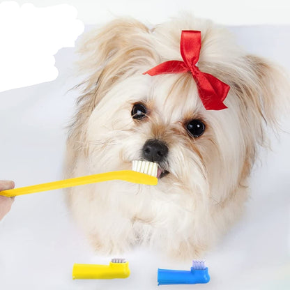 Dual-Headed Brush and 2 Bonus Finger Brushes