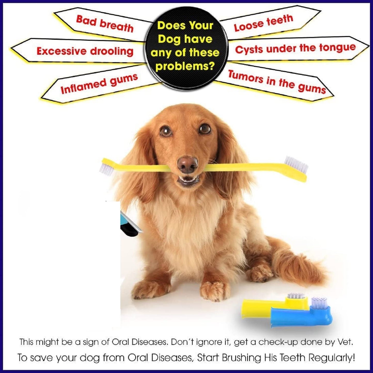 Dual-Headed Brush and 2 Bonus Finger Brushes