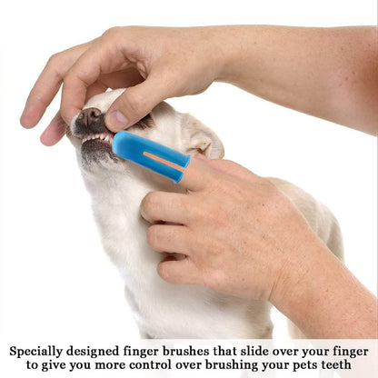 Dual-Headed Brush and 2 Bonus Finger Brushes