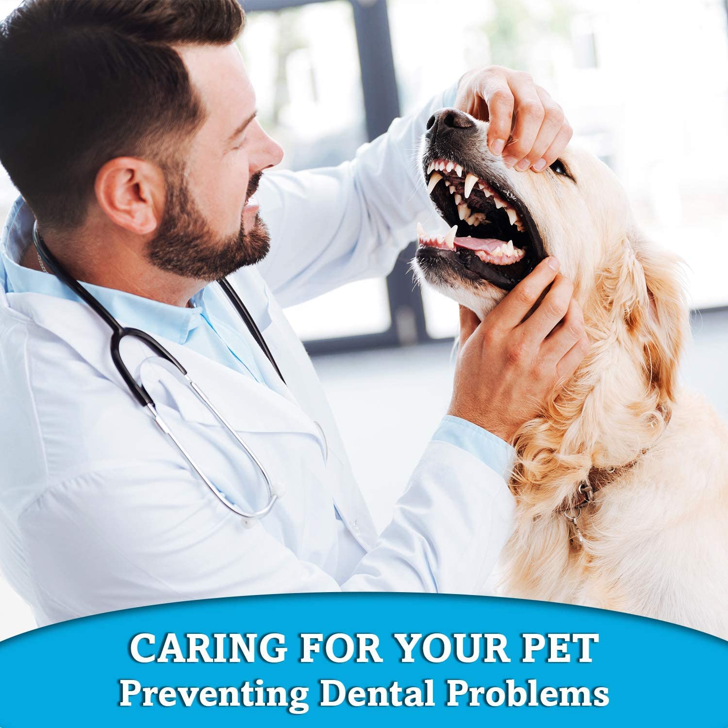 Double-Headed  Pet Toothbrush Set of 4