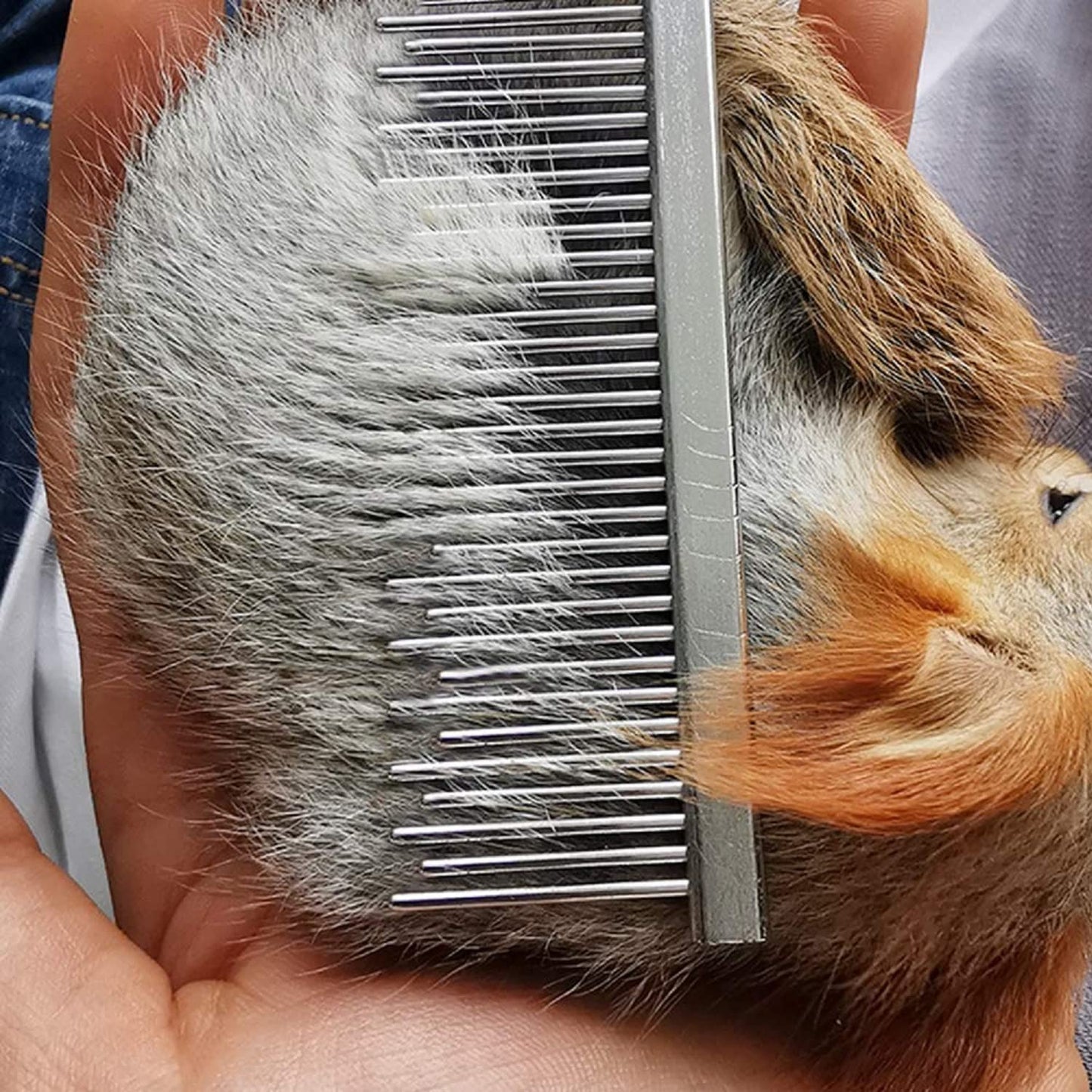 Stainless Steel Pet Grooming Comb