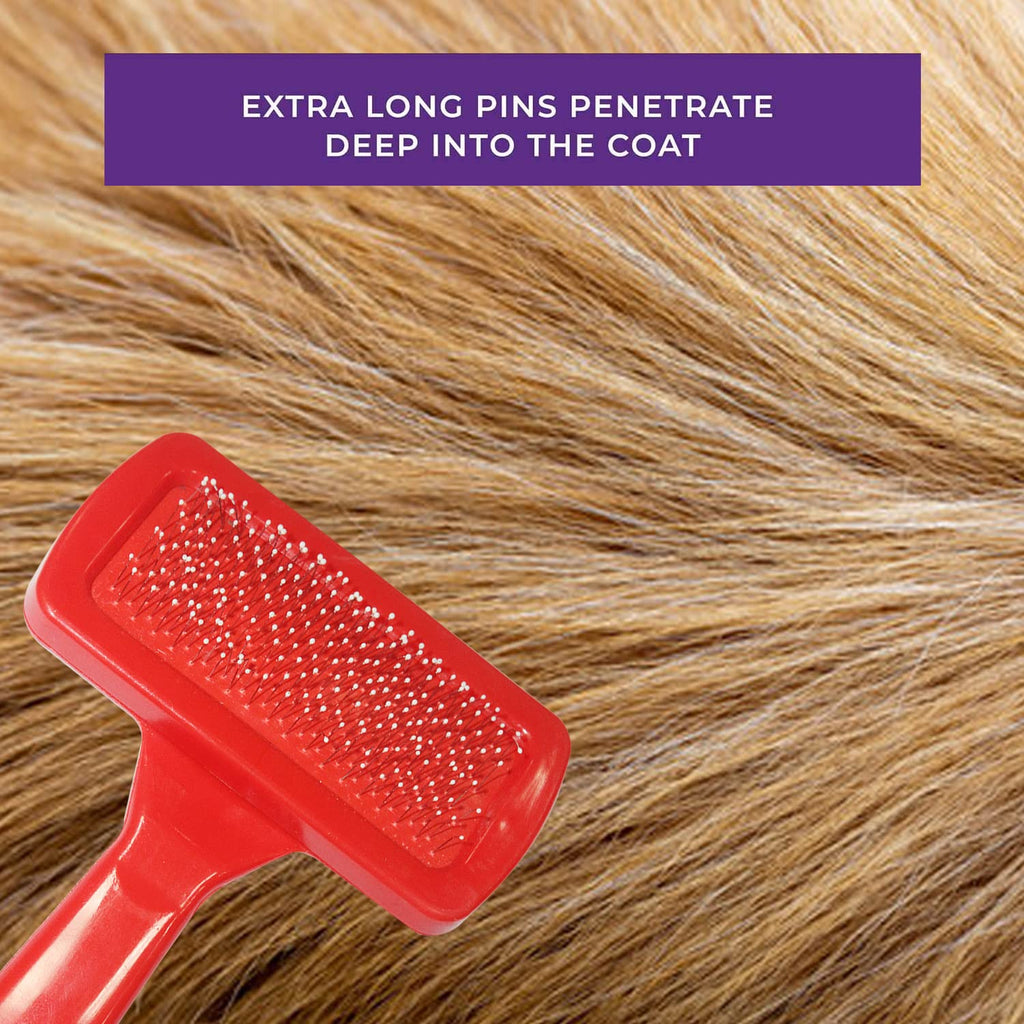 Grooming Brush and Comb for Pets