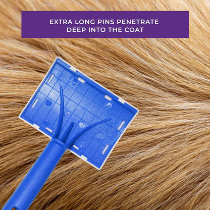 Large Blue Flexible Slicker Brush