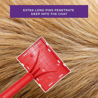 Universal Pet Slicker Grooming Brush