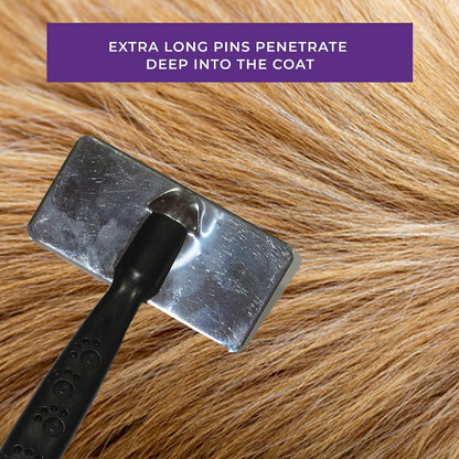 Medium Black Paw Slicker Brush