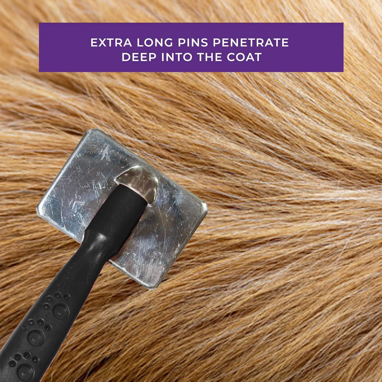 Paw Print Pet Grooming Brush