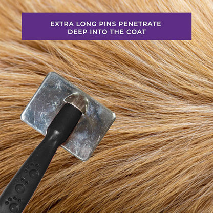 Paw Print Pet Grooming Brush