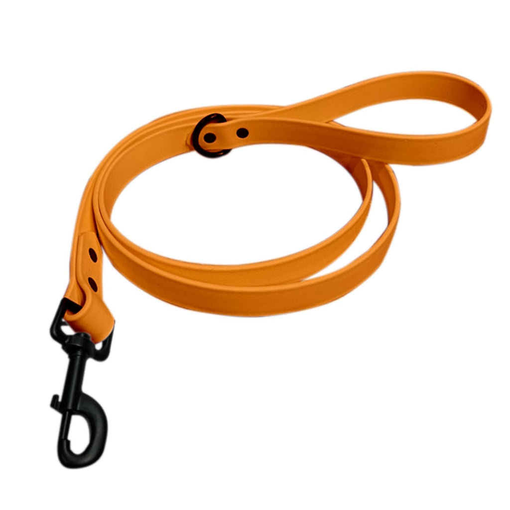 Adjustable and Comfortable Dog Leash