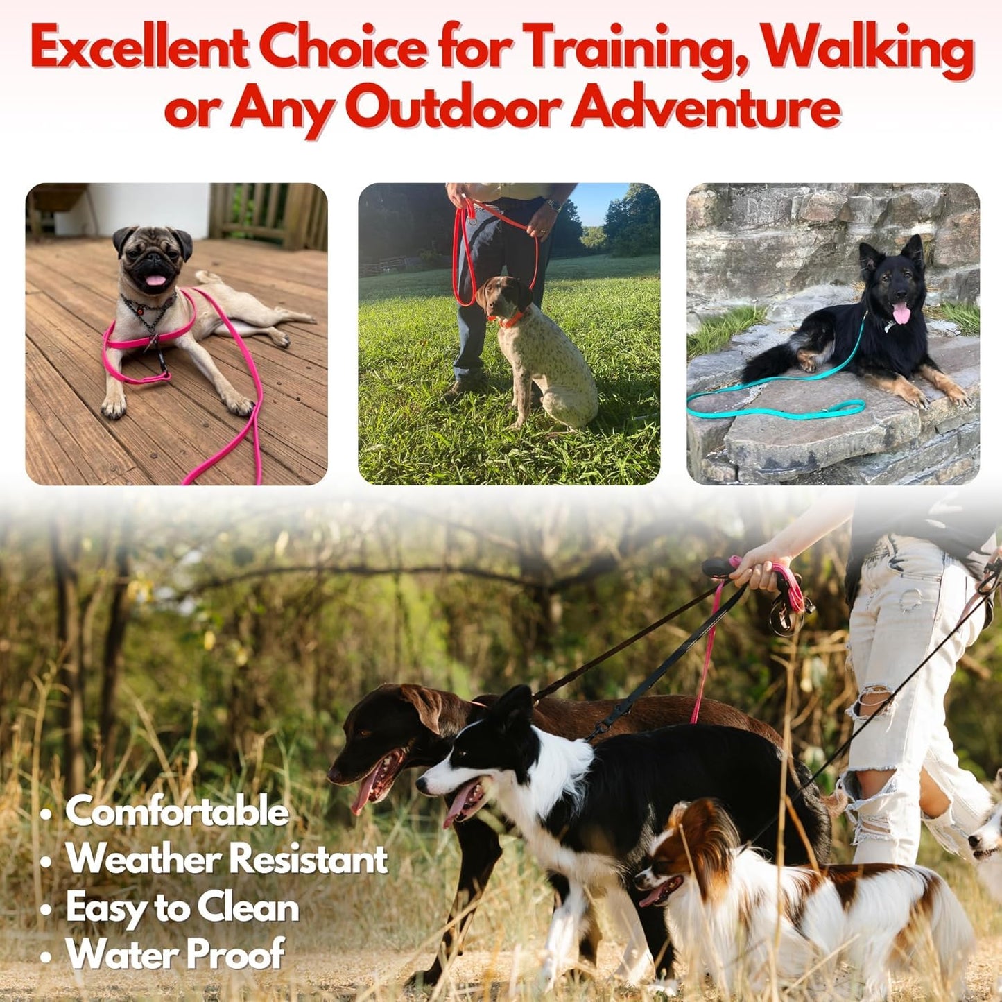Adjustable and Comfortable Dog Leash