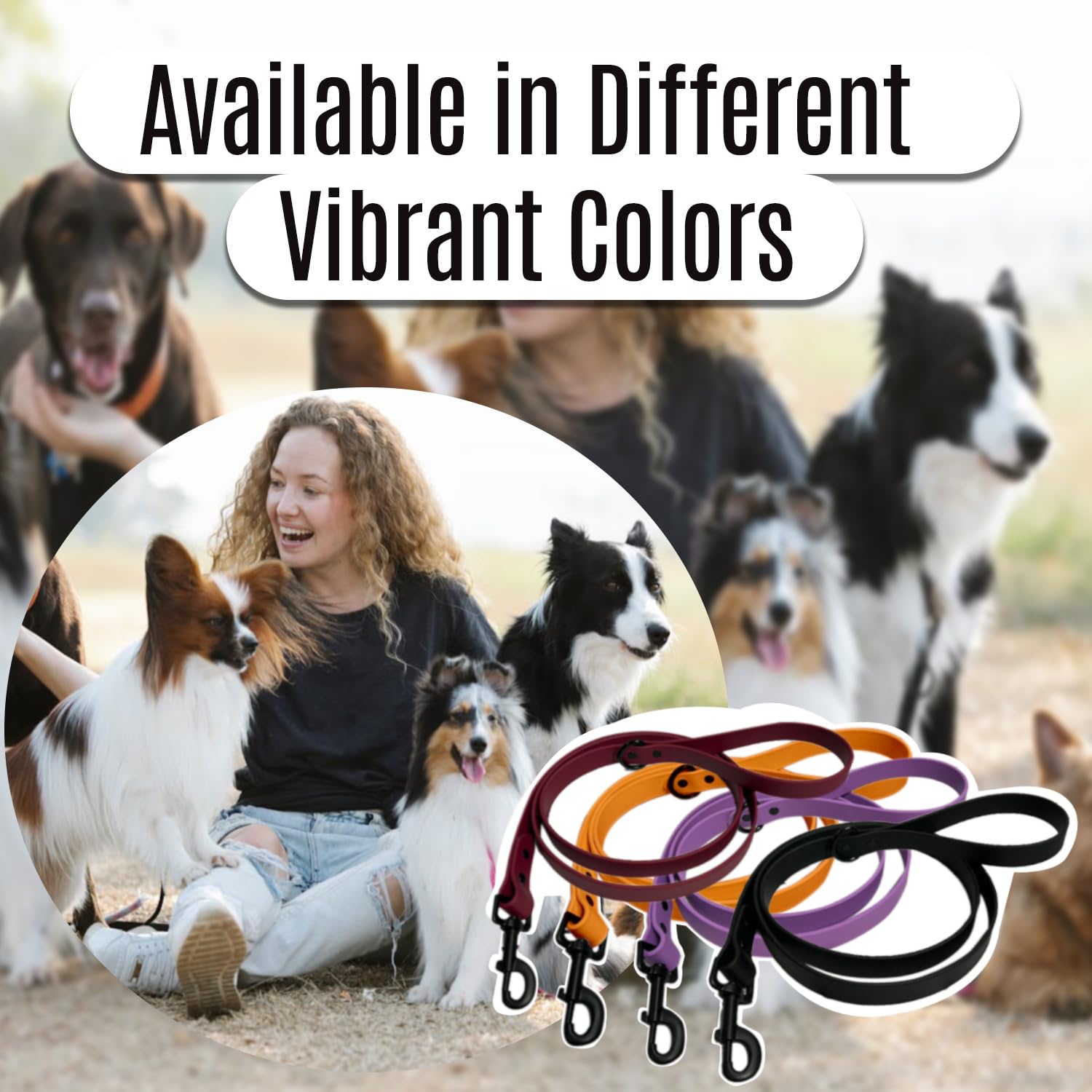 Adjustable and Comfortable Dog Leash