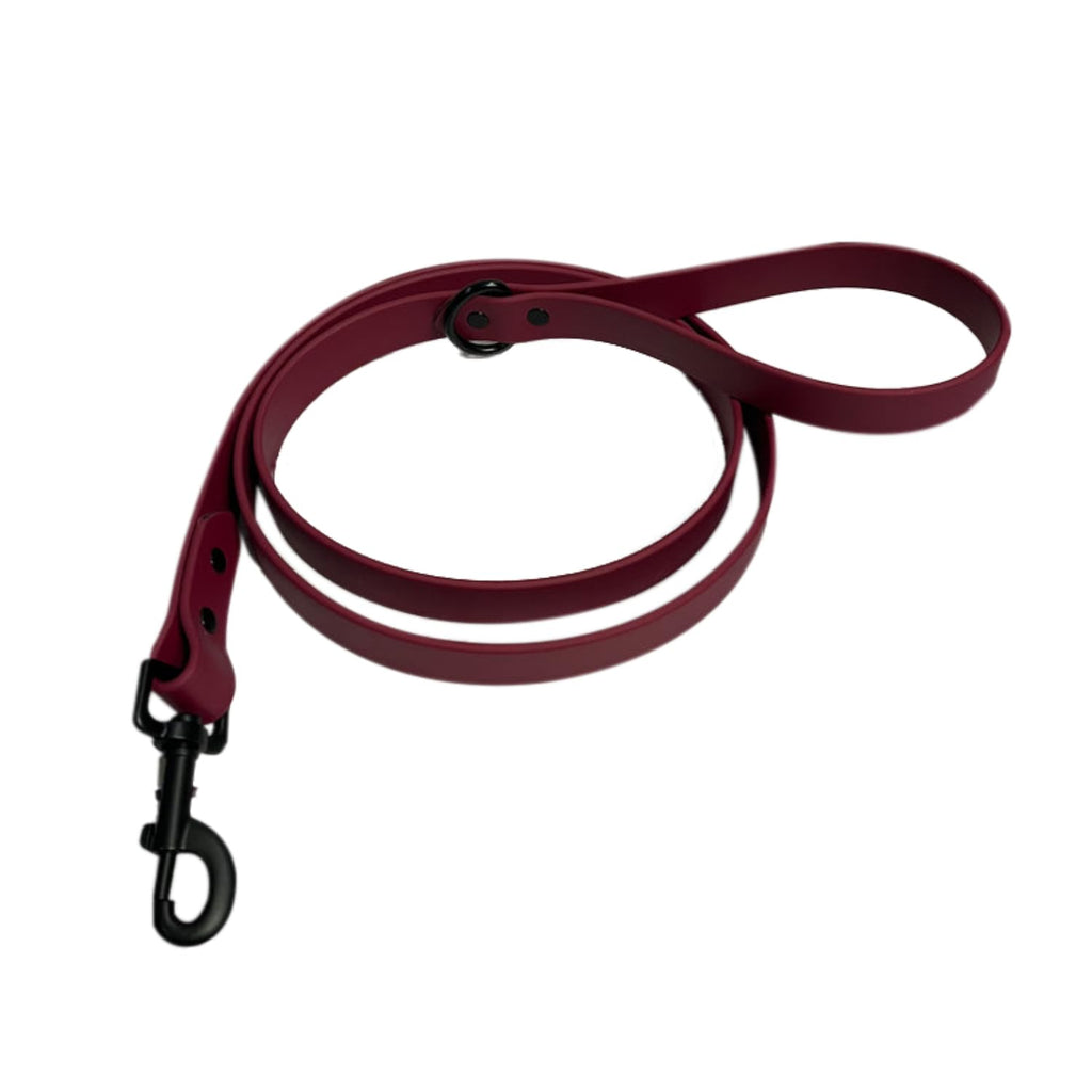 Comfortable Dog Walking Leash
